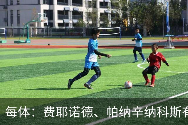 每体：费耶诺德、帕纳辛纳科斯有意佩尼亚，但不愿支付转会费