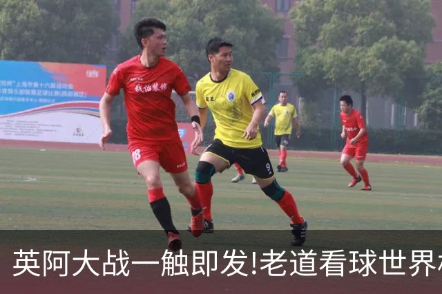 英阿大战一触即发!老道看球世界杯6连红领衔助红单