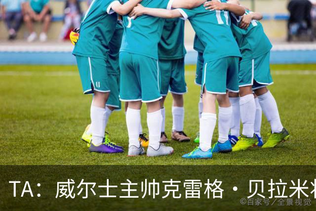 TA：威尔士主帅克雷格·贝拉米将离任，前往伯恩利执教
